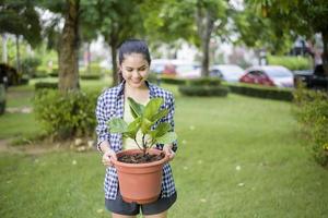 mulher está plantando a árvore no jardim foto