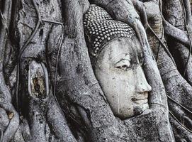 cabeça da estátua de buda nas raízes da árvore em wat maha aquele templo em ayutthaya, tailândia foto