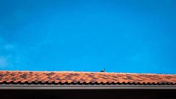 telhado no fundo do céu. close-up de telhas de barro marrom. telhado sujo velho vermelho. telhas velhas. vista aérea aproximada dos tradicionais telhados mediterrâneos vermelhos com céu azul de verão na cidade velha foto