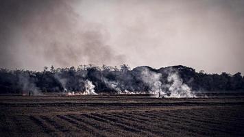 qualidade do ar causada. queima agrícola na área rural da tailândia. os agricultores queimam seus campos para remover as plantas. queimaduras prescritas. agricultores ateiam fogo regularmente para limpar novas áreas de terra