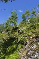 geiranger é uma pequena vila turística na região de sunnmore da noruega. foto