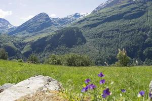 geiranger é uma pequena vila turística na região de sunnmore da noruega. foto