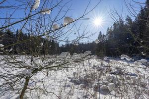 floresta de inverno na bielorrússia, trilha ecológica lagos azuis foto