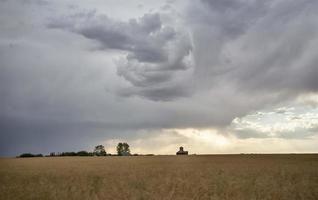 pradaria nuvens de tempestade Canadá foto