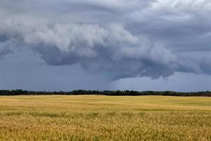 pradaria nuvens de tempestade Canadá foto