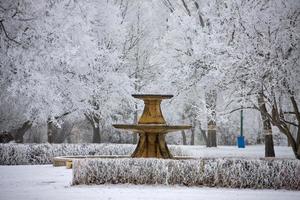 geada de inverno saskatchewan foto