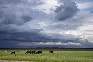 pradaria nuvens de tempestade Canadá foto