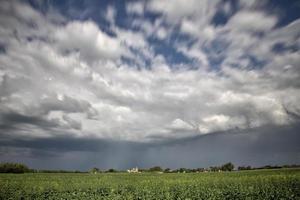 pradaria nuvens de tempestade Canadá foto