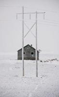 geada de inverno saskatchewan foto