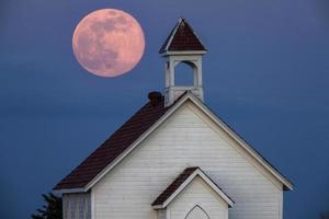 lua rosa cheia foto