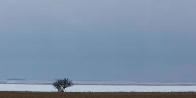 paisagem pradaria de saskatchewan foto