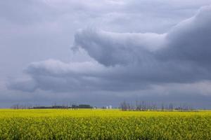 pradaria nuvens de tempestade Canadá foto