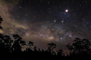 paisagem noturna com estrela nuvem via láctea galáxia luz céu noturno e silhueta pinheiro na floresta foto