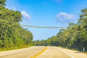 dirigindo na rodovia rodovia na natureza tropical da selva méxico. foto