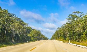 dirigindo na rodovia rodovia na natureza tropical da selva méxico. foto