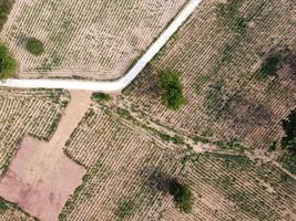 terras agrícolas de montanha na tailândia rural, fotografia de paisagem, fotografia de drone foto