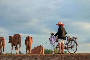 mãe e filha no campo ao pôr do sol foto