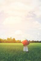 parte traseira da bela jovem segurando guarda-chuva multicolorido no campo de pastagem verde e céu azul de nuvem. foto