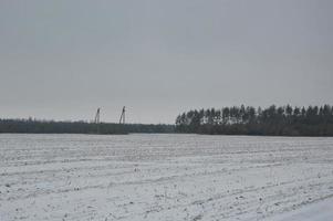 panorama de um campo agrícola coberto de neve no inverno foto