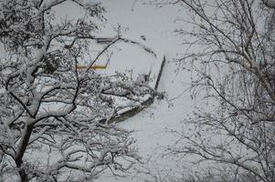 galhos cobertos de neve e troncos de árvores na cidade foto