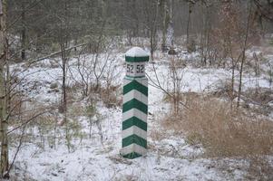 floresta nevada em uma nevasca quedas de neve foto