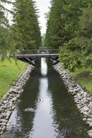 um pequeno canal de água com árvores coníferas e uma ponte. foto