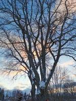 céu de inverno à noite no pôr do sol da vila foto