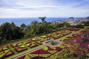 funchal, portugal, 13 de fevereiro de 2020 - detalhe do jardim botânico da madeira em fuchal, portugal. jardim aberto ao público em 1960 e recebe mais de 345.000 visitantes por ano. foto