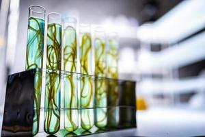 pesquisa de laboratório de algas verdes, tecnologia de energia alternativa de biocombustível, conceito de biotecnologia foto