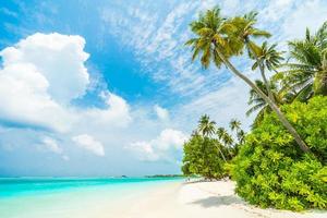 ilha maldivas com árvore