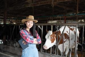 mulheres asiáticas agricultura e indústria agrícola e conceito de pecuária - mulheres jovens ou agricultor com computador tablet pc e vacas em estábulo na fazenda de gado leiteiro com máquinas de ordenha de vaca foto