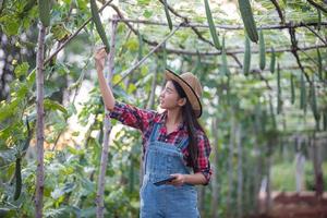 mulheres agrônomas e agricultoras da ásia usando tecnologia para inspecionar em campos agrícolas e vegetais orgânicos foto