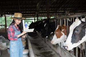 mulheres asiáticas agricultura e indústria agrícola e conceito de pecuária - mulheres jovens ou agricultor com computador tablet pc e vacas em estábulo na fazenda de gado leiteiro com máquinas de ordenha de vaca foto