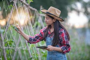 mulheres agrônomas e agricultoras da ásia usando tecnologia para inspecionar em campos agrícolas e vegetais orgânicos foto