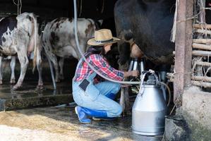 mulheres asiáticas agricultura e indústria agrícola e conceito de pecuária - mulheres jovens ou agricultor com computador tablet pc e vacas em estábulo na fazenda de gado leiteiro com máquinas de ordenha de vaca foto