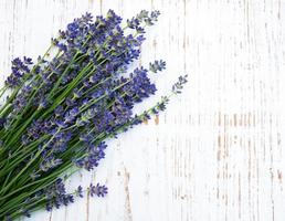 ramo de lavanda foto