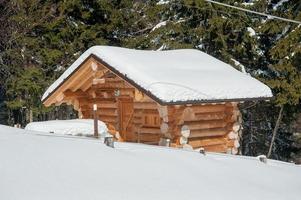 casinha a madeira envolta em neve foto