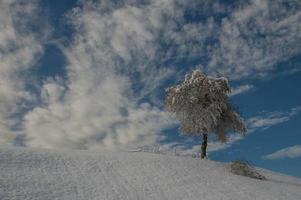 montanhas após a queda de neve foto