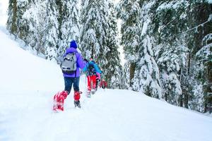 passeio com amigos com raquetes de neve após forte nevasca foto