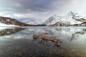 galho seco no lago de alta montanha no vale de engadine foto