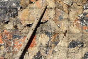 encostado o tronco e o lagarto na parede de pedra com sombra quadriculada. foto