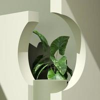Imagem de renderização de ilustração 3D de forma geométrica de pódio de maquete de espaço vazio e natureza verde com tema para exibição de produtos foto