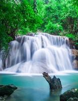 bela cachoeira e floresta verde, local de descanso e tempo de relaxamento foto