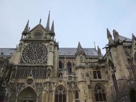 notre dame paris foto