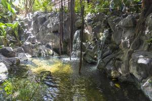 um pequeno lago artificial no jardim. ao redor da água derramada. foto