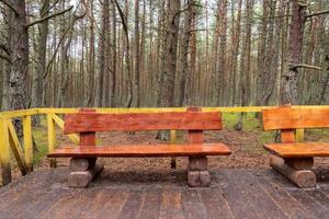 banco de madeira feito de toras e colocado na floresta foto