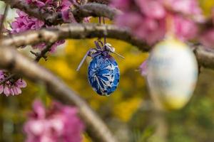 ovo de páscoa decorativo pendurado na cerejeira com flores cor de rosa. foto