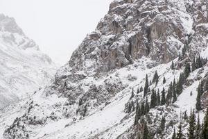 paisagem de montanhas rochosas de inverno com nevoeiro foto