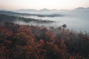 cenário de montanha e árvores na manhã de outono foto