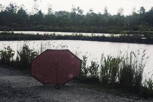 guarda-chuva vermelho na beira da lagoa de mangue foto